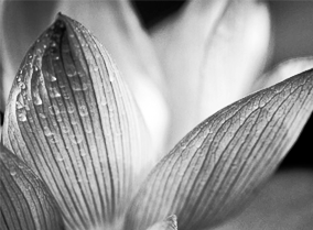 短信测压在线平台